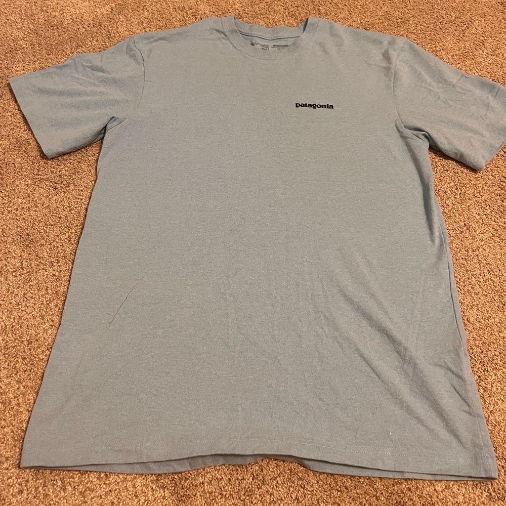 Patagonia Logo Shirt, medium, blue,